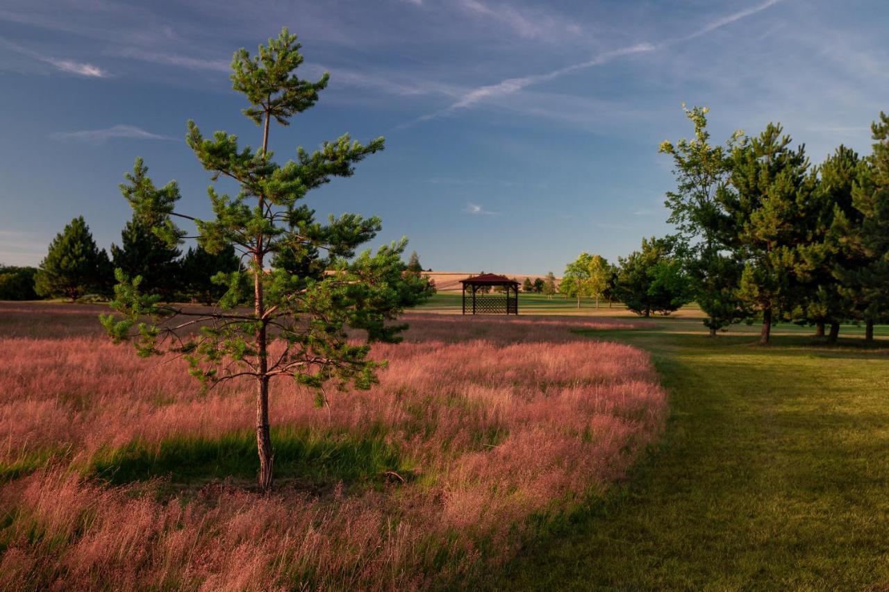 Darovansky Dvur - Wellness & Golf Hotel Břasy Esterno foto